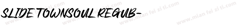 Slide Townsoul Regub字体转换